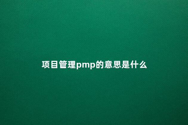 项目管理pmp的意思是什么 项目管理PMP的意思是什么